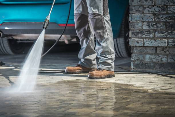 Best Roof Cleaning and Mildew Removal in Glendale, MS