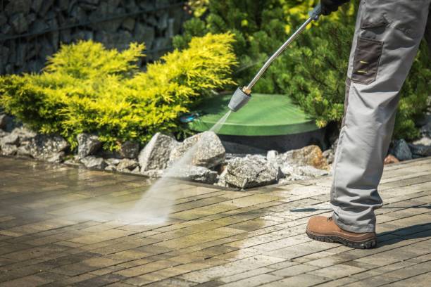 Best Soft Washing for Delicate Surfaces in Glendale, MS